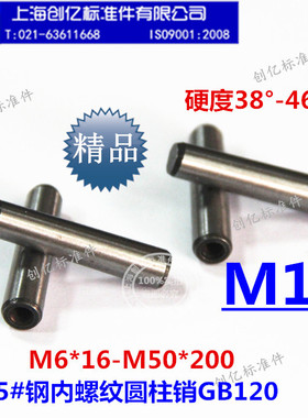 GB120中碳45#淬火内螺纹圆柱销/定位销/螺纹销M10*16-140