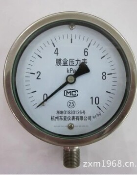 杭州东亚YE100BF 304防锈不锈钢膜盒压力表 16/25/40kpa 高温膜合