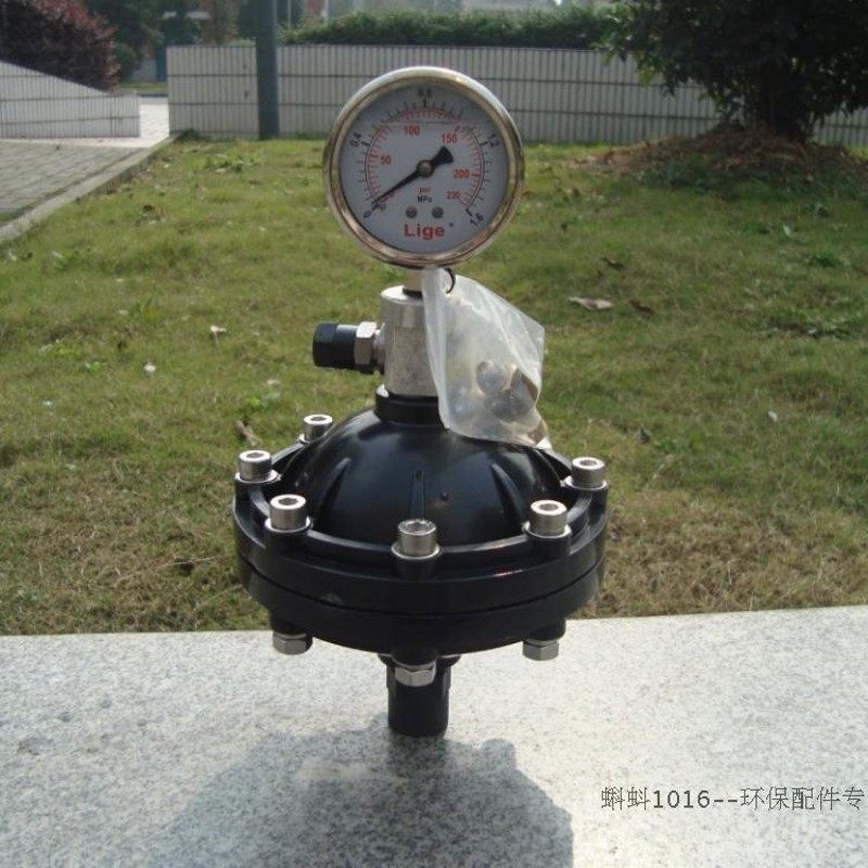 【高品质】DN15/20/25膜片式脉冲阻尼器 缓冲器缓冲罐 气囊带表