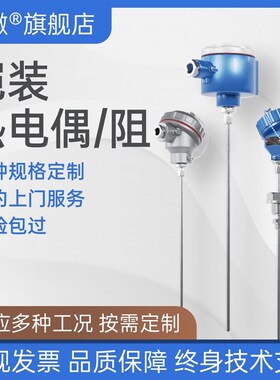 K型铠装热电偶WRN-130高温探头Pt100温度传感器wzp-130/230热电阻