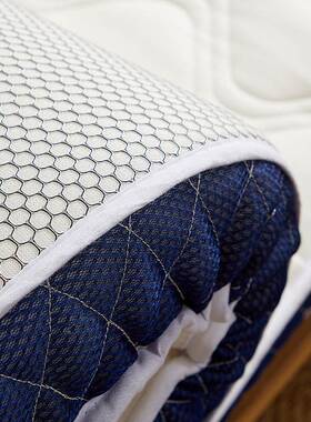 DFLA类母婴用胶级床垫乳软垫家双人加厚海绵垫褥子0.9单人榻榻米