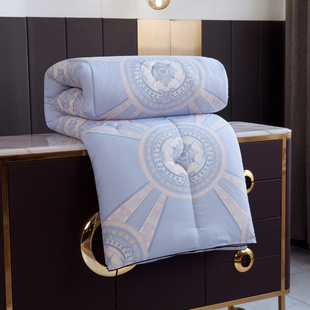 秋冬被子a冬被春夏云丝棉被芯双人太空调被厚男女学生宿舍单人1.5