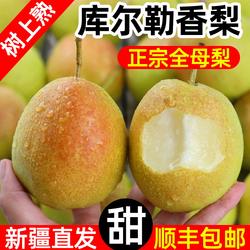 新疆库尔勒香梨全母梨子新鲜孕妇水果整箱10斤精选旗舰店包邮直发