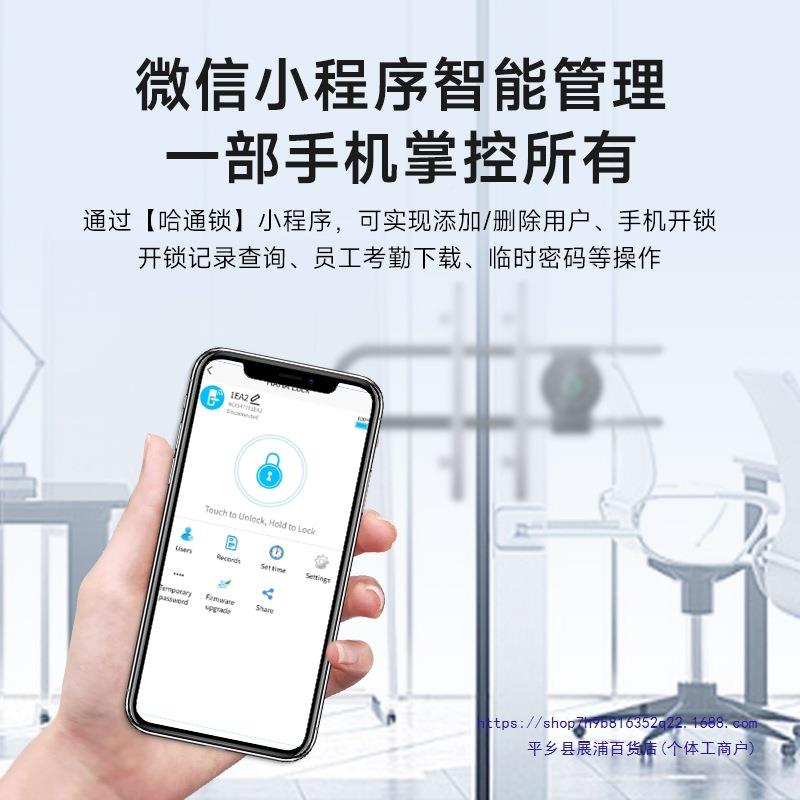指密码型锁纹玻璃门DS-K4UX1商铺店大智门面形插锁电子挂锁能锁