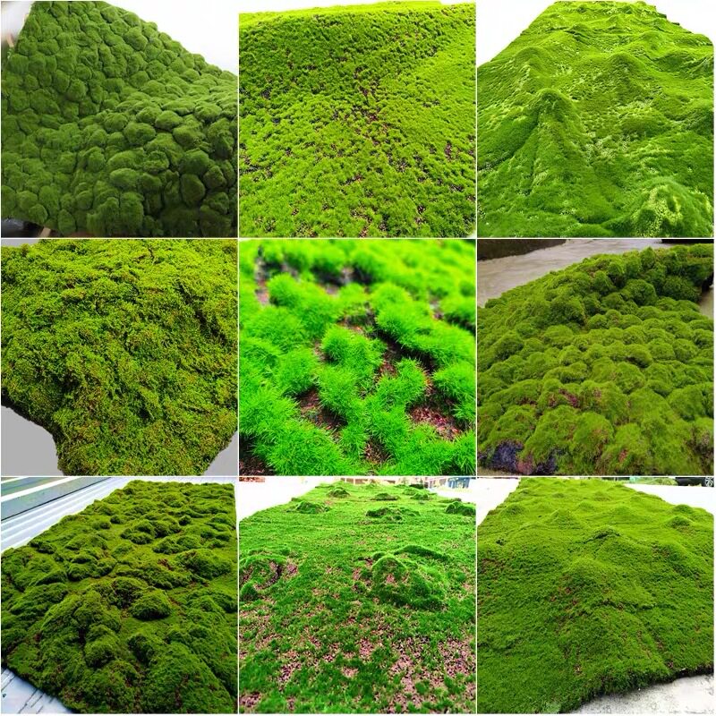 仿真苔藓草坪微景观绿植墙布置