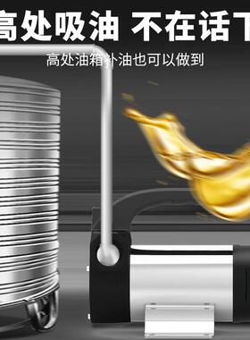 臣源动油泵12VGRP2V2204V伏柴抽油泵自吸泵油电泵小型加油机抽油