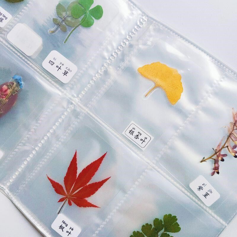 植物标本收集册叶脉书签树叶标本收集袋儿童手工自制干花标本相册