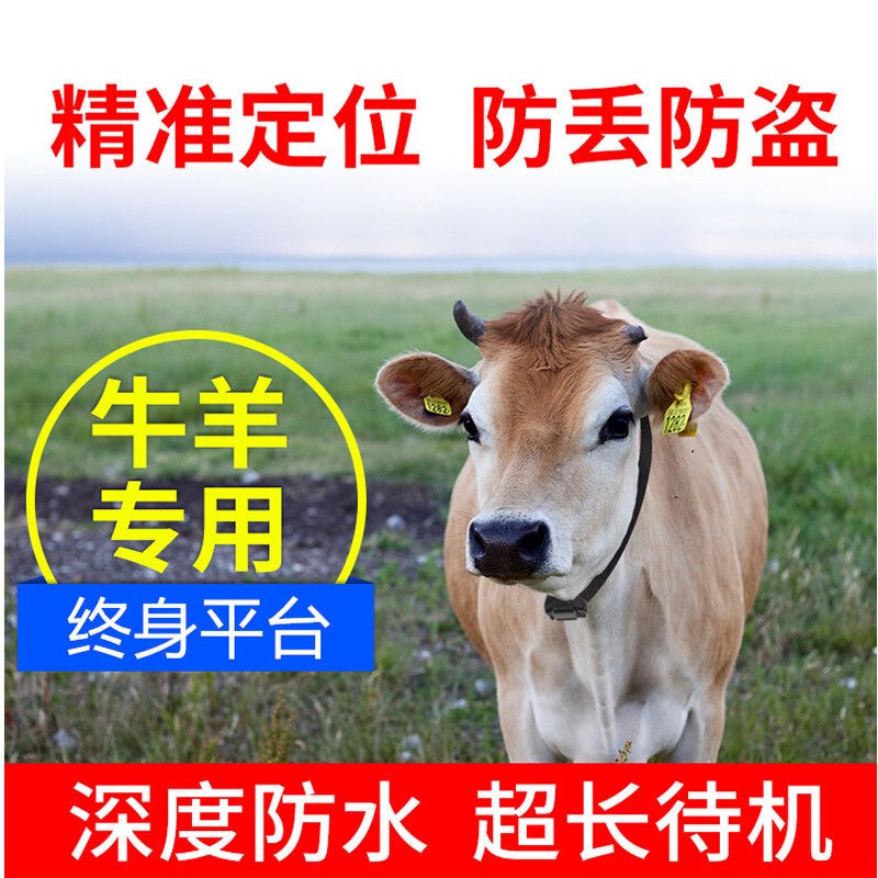 牛羊定位器跟踪器GPS放养牧防走丢失追踪器骆驼马山区动物卫星