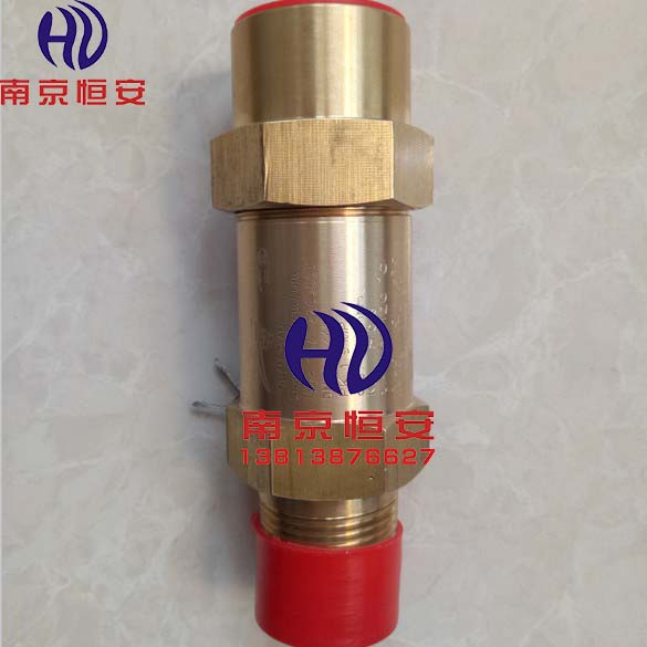SFA-22C300T14冷冻外螺纹安全阀黄铜氟利昂泄压阀DN15 1/2
