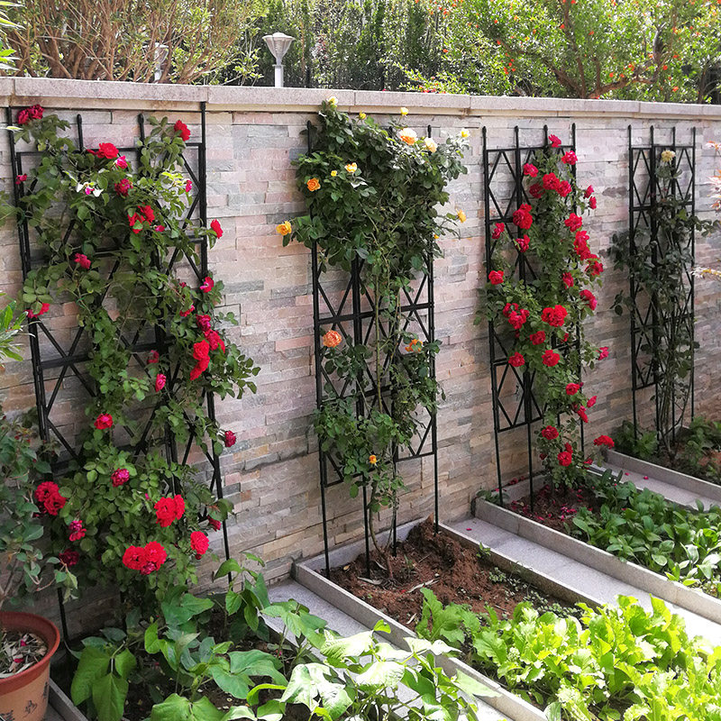 花架爬藤支架月季爬藤架铁线莲植物支撑杆户外栅栏庭院园艺花支架,工业油品/胶粘/化学/实验室用品,马弗炉/电阻炉/实验炉,淘宝优惠券,粉丝福利购,淘宝优惠卷