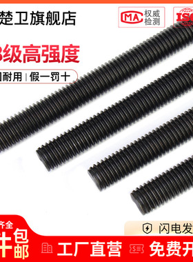 8.8级牙条 全牙螺纹通丝螺杆吊顶黑色丝杆1米M6M8M10M12M14M16M36