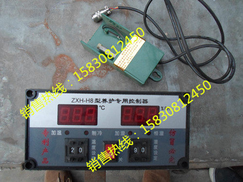 ZXH-H8型养护箱专用控制器 养护箱恒温恒湿专用仪表 养护箱仪表