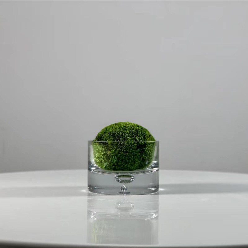 现代简约透明玻璃花瓶小号插花摆件加厚饭厅玄关桌面花器装饰品