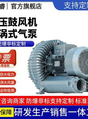 漩涡式高压鼓风机RB-61D污水处理曝气增氧2.2KW真空负压风机2200W