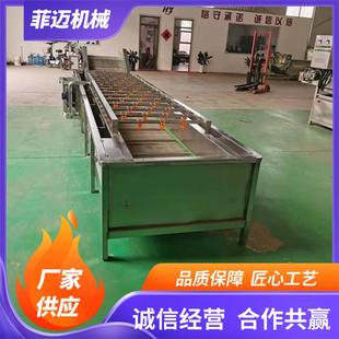 全自动海产品去泥去杂冲洗机青梅大枣洗果机菠菜气泡清洗机