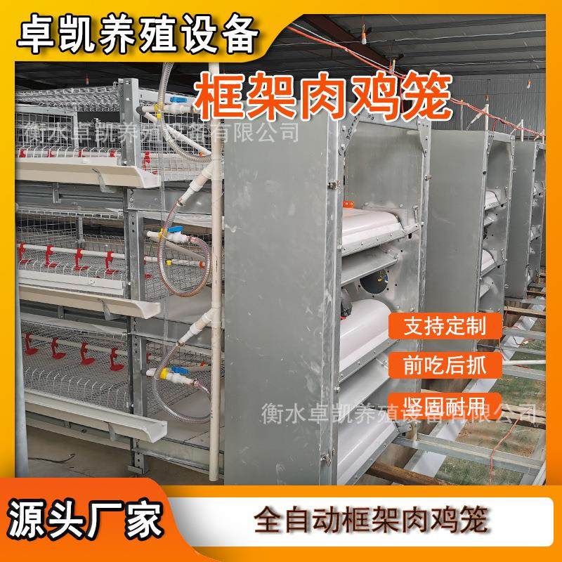 自动化肉鸡笼框架立式肉多层鸡笼后热镀材质加固笼门供国内外,农机/农具/农膜,农用防护器具,淘宝优惠券,粉丝福利购,淘宝优惠卷