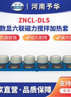 ZNCL-DLS(六联)智能数显多联磁力搅拌电热套厂家