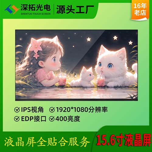 15.6寸显示屏100%色域LCD
