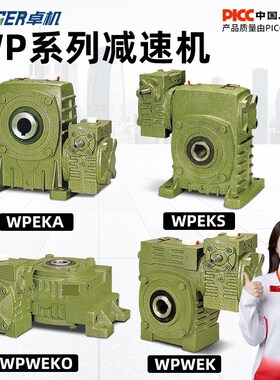 WPEKA WPEKS WPWEKO WPWEK 铁壳蜗轮蜗杆减速机变速齿轮箱波箱
