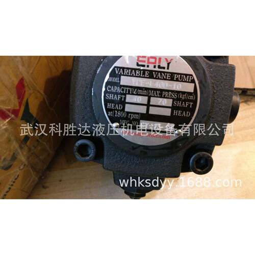 ERY油泵 VPE-F4D/F040C/F40B/F3F0LD/F30C/30B/F45D/F45VPE-F40-C