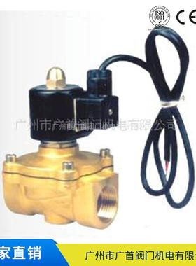 SLDF系列水下潜水电磁阀喷淋喷泉防水电磁阀潜水电磁阀DC24