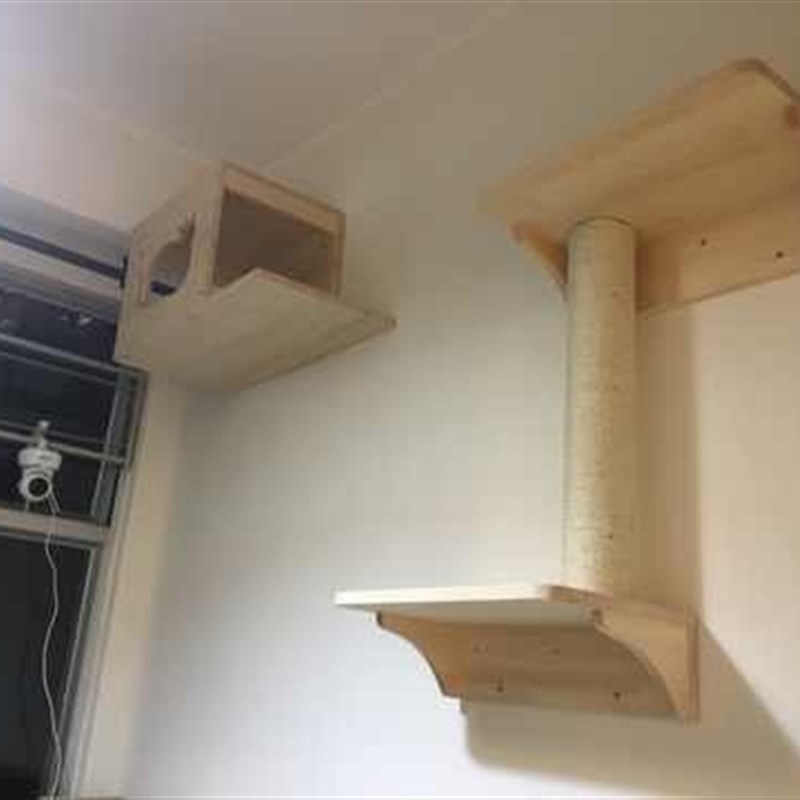 !实木猫爬架猫墙l跳板壁挂式猫窝房子四季猫屋宠物用品墙上猫树