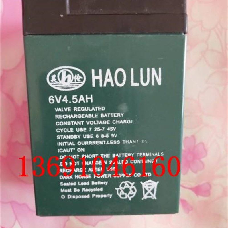 HAOLUN昊伦电池 3FM4.5 6V4.5AH 玩具车 儿童玩具电动童车蓄电池