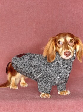 花灰色高领毛衣 JACQUES WEI小型犬秋冬保暖 petisan