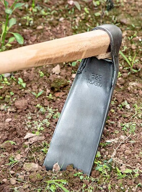 农用老式锄除草工具家用种菜挖土大锄头全钢开荒挖笋翻土长柄锄头