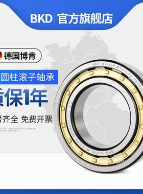 德国BKD进口轴承NJ311/312/313/314/315/316/317/318 EM P5 P4