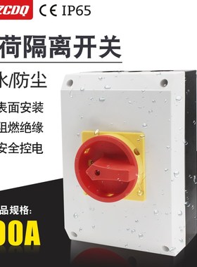 LW30-100A/3H-B负荷隔离开关盒防水主控380V设备电源切断通断IP65
