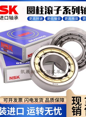 进口轴承RN205 206 307 309 219 312 313 222 228 M减速机轴承