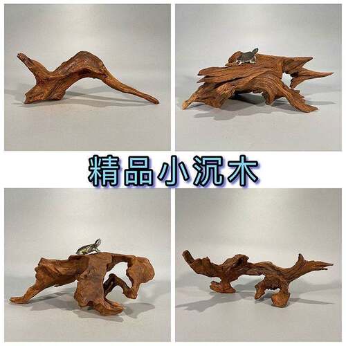 沉木鱼缸造景装饰o摆件小号沉木I珊瑚木空气凤梨树根树根