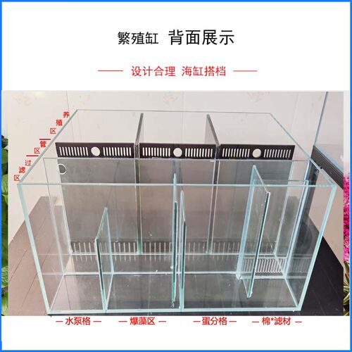 小丑繁殖缸/海缸背l滤/小型海水缸/ 金晶超白/珊瑚小丑鱼/水族箱