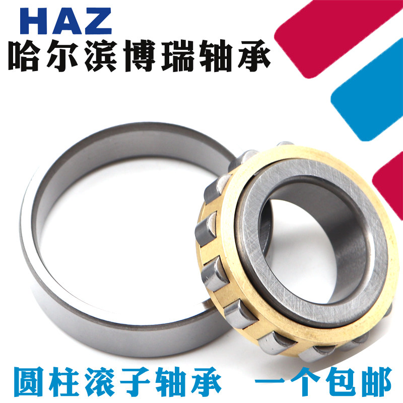 哈尔滨HAZ轴承RN304 305 306 307 308 309 310 311 312 313E EM