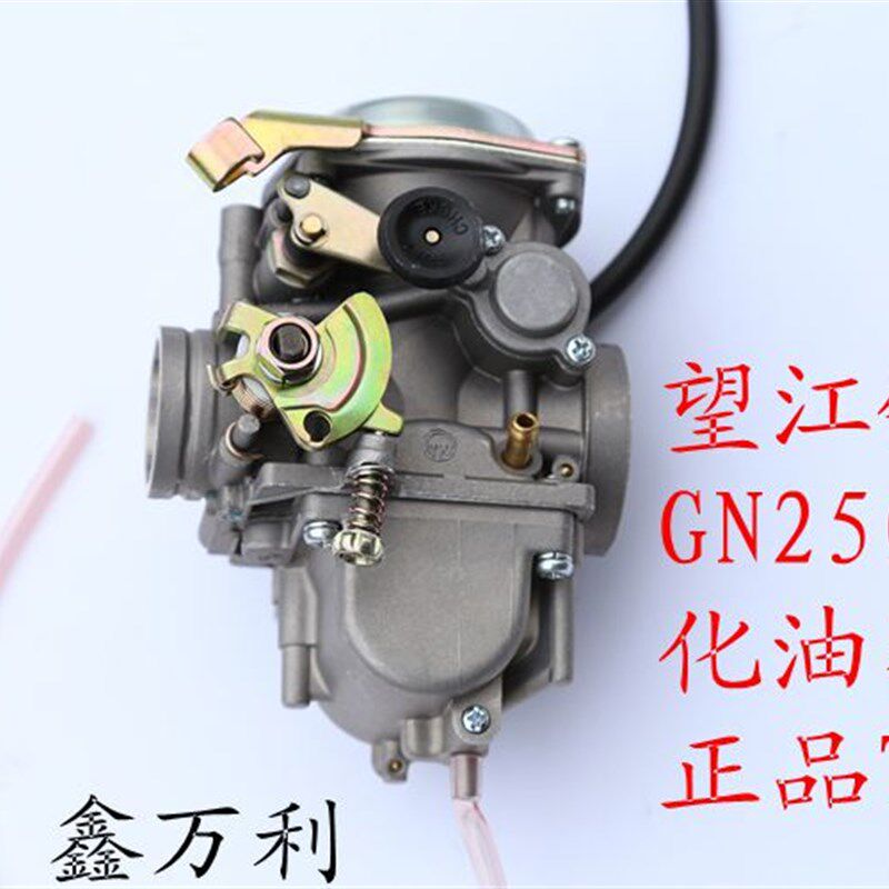 适用望江太子250 WJ250 GS250 GN250 草上飞250 GN300化油器总成