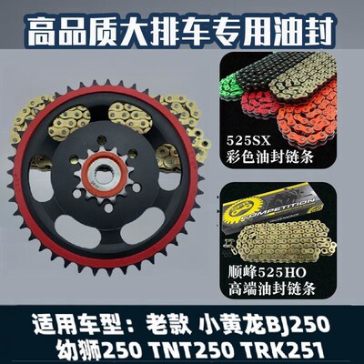 适用贝纳利小黄龙BJ250TRK/幼狮250改装老款静音牙盘油封炼条套炼