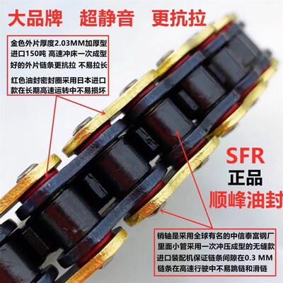 SFR顺峰正品525H525HO525HX追赛黄龙600贝纳利摩托车静音油封链条