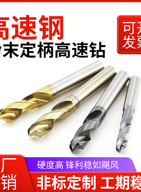 鼎泰定柄高速钻麻花钻粉末冶金高速钢钻头超硬不锈钢专用2-13