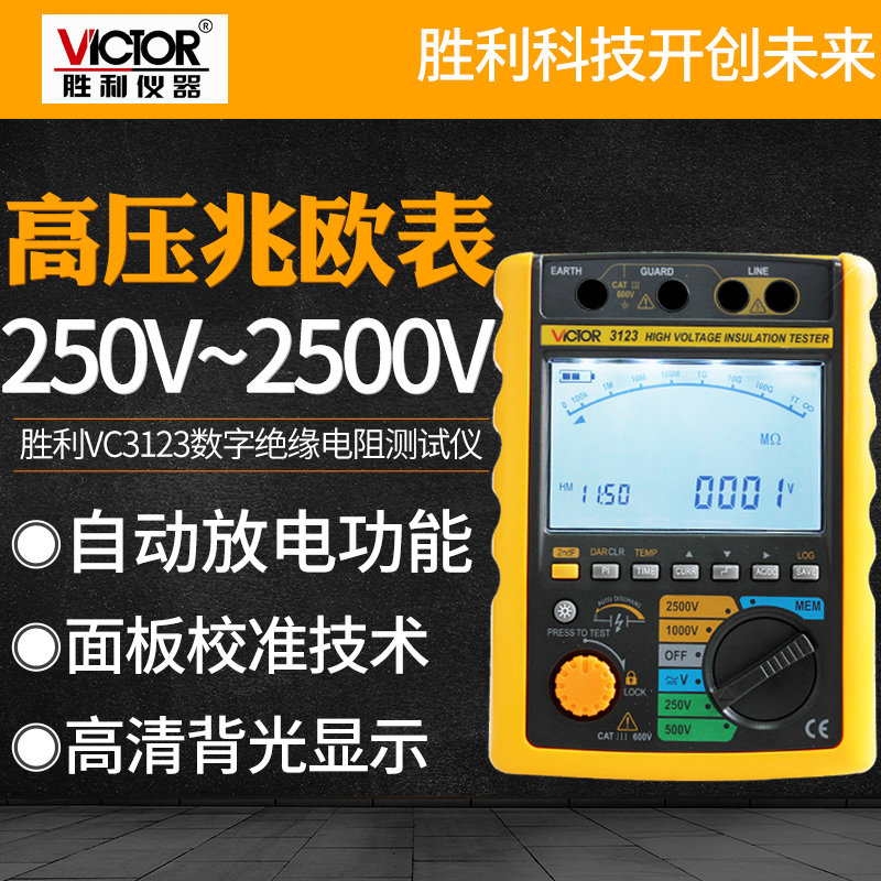 胜利VC3123高精度数字绝缘电阻测试仪VC3125高压兆欧表数显摇表笔