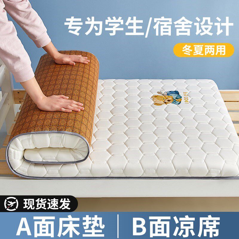 双面乳胶床垫专用大学生宿舍单人90x190加厚打地铺睡凉席软垫1米2