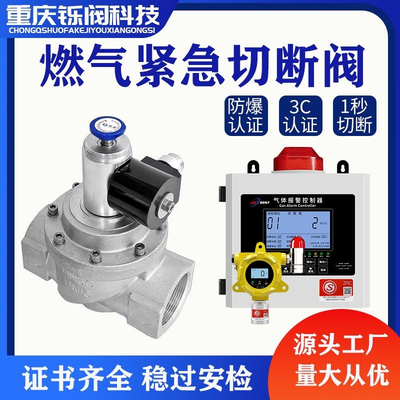 工业商用燃气报警器紧急自动切断阀天然气管道电磁阀门法兰式控制