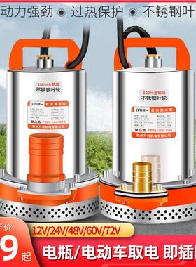 十二伏接插电动车电瓶车专用抽水泵直流潜水泵12v24v48v60v抽水机