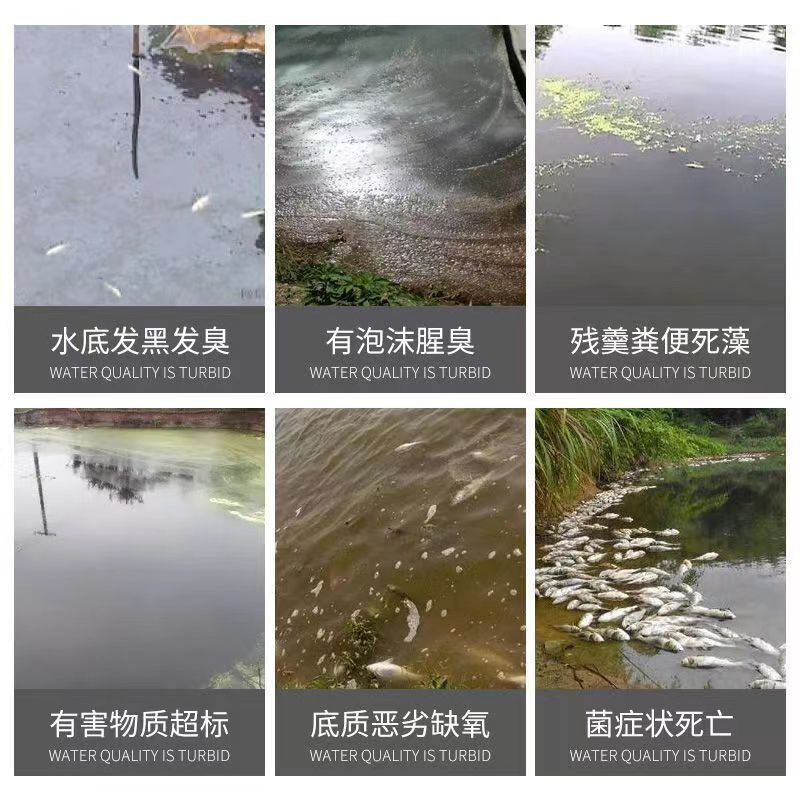 底改王 水产虾蟹鱼养殖池塘净水颗粒 去黑泥除臭X净水分解底改