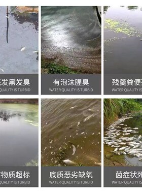 底改王 水产虾蟹鱼养殖池塘净水颗粒 去黑泥除臭X净水分解底改
