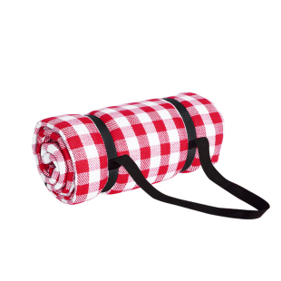 户外野餐垫便携野外地垫s野餐布红白格加大加厚帐篷野营垫郊游地