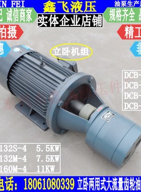 LWBZ-CB-B200 DCB-B250JZ立卧式齿轮油泵电机组 液压油泵装置