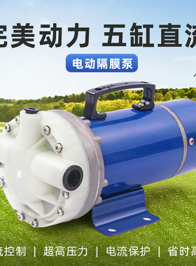 电动喷雾器高压农用12V48V60V喷药机5缸隔膜泵自吸式灌水冲肥泵