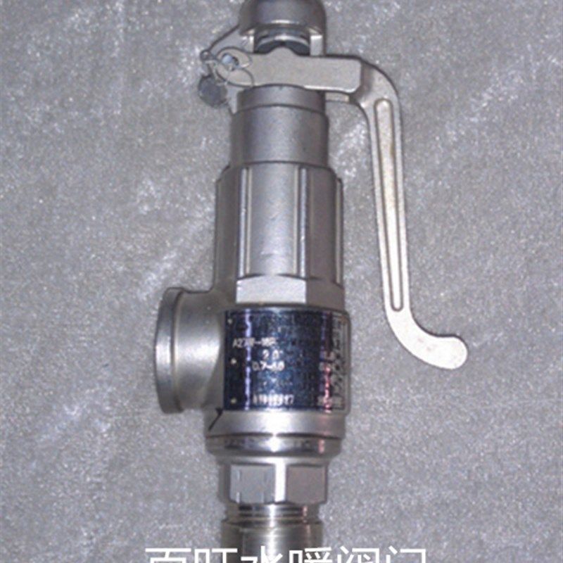 304不锈钢A27W安全阀A27W-16P/A21W-16P丝扣弹簧微启式安全阀,玩具/童车/益智/积木/模型,毛绒/玩偶/公仔/布艺类玩具,淘宝优惠券,粉丝福利购,淘宝优惠卷