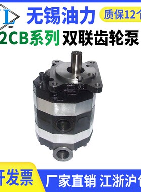 液压双联齿轮油泵2CB-FC-10/16/20/25/31.5/40/50-FL液压泵齿轮泵